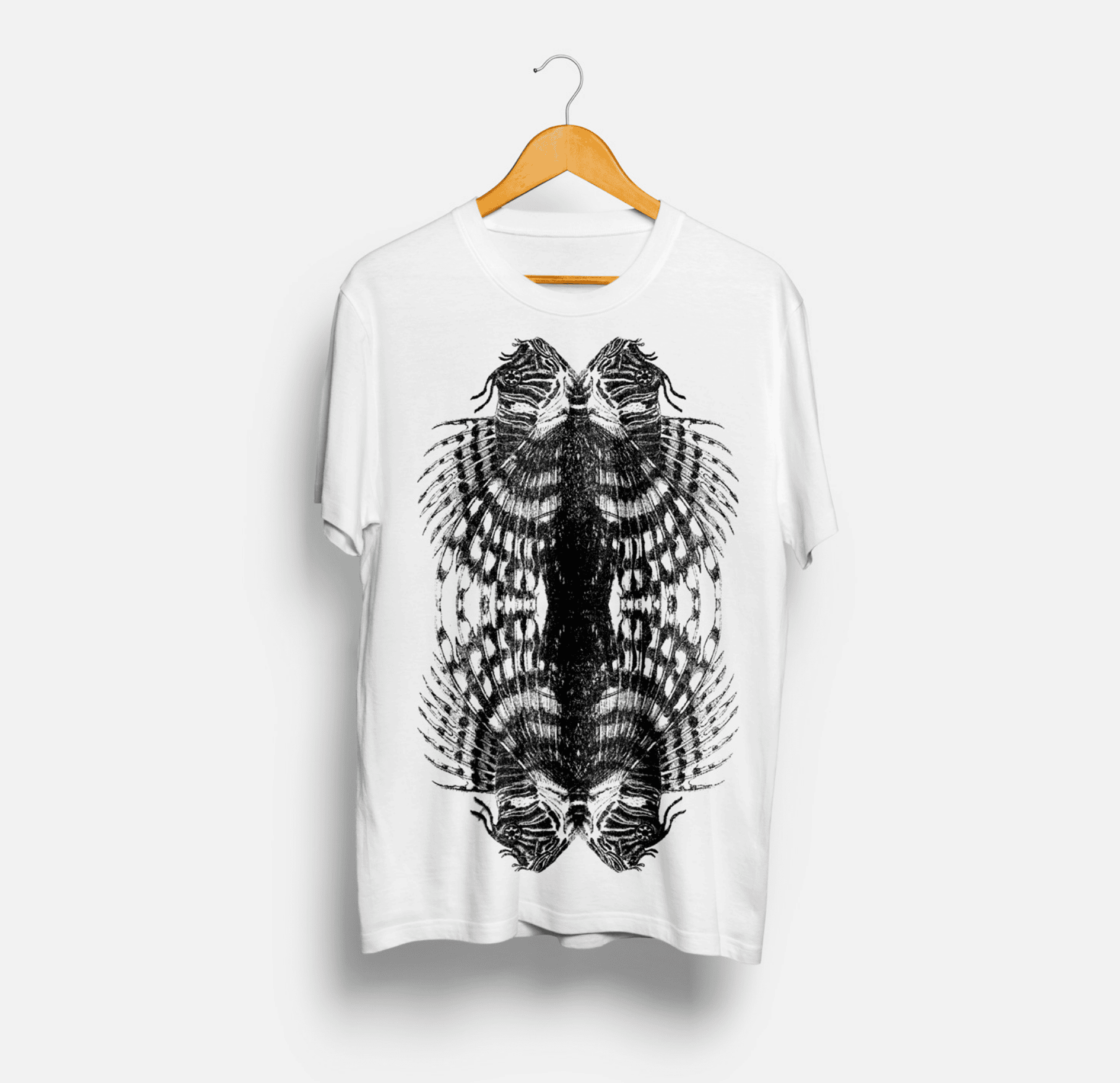 GraphicDes8_carousel