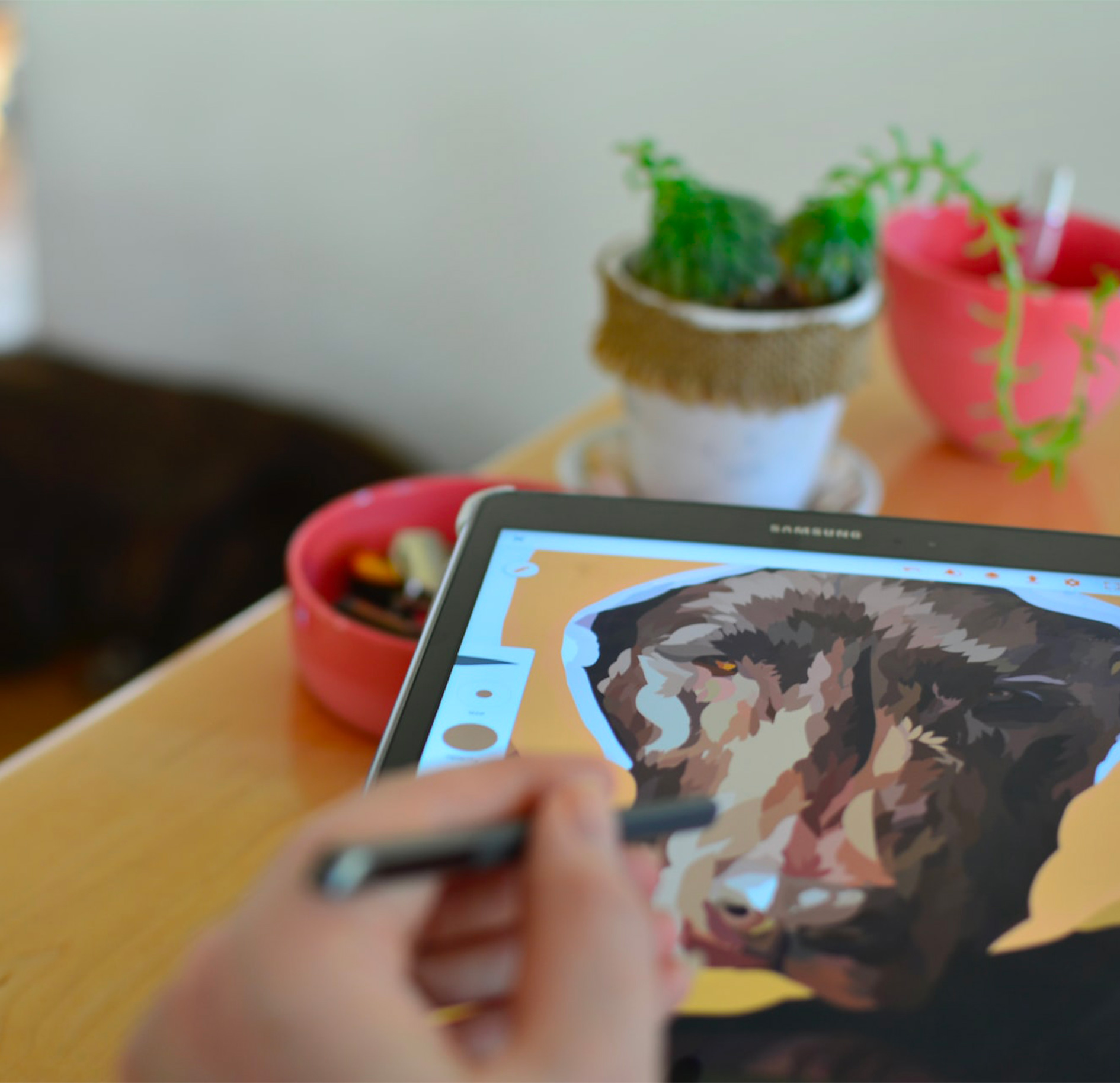 gallery-colorazione-digitale1