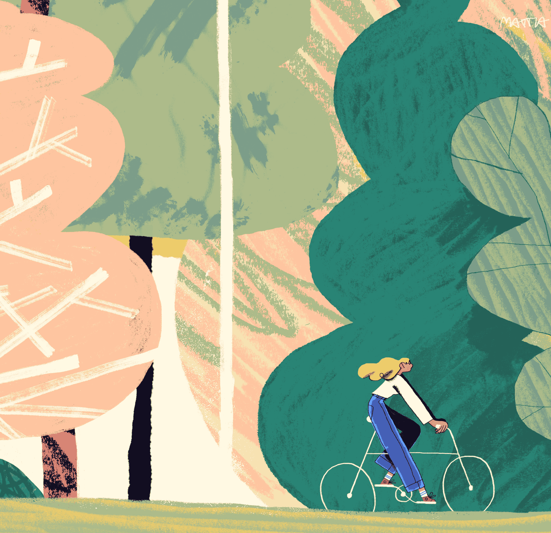 illustrazione4_carousel