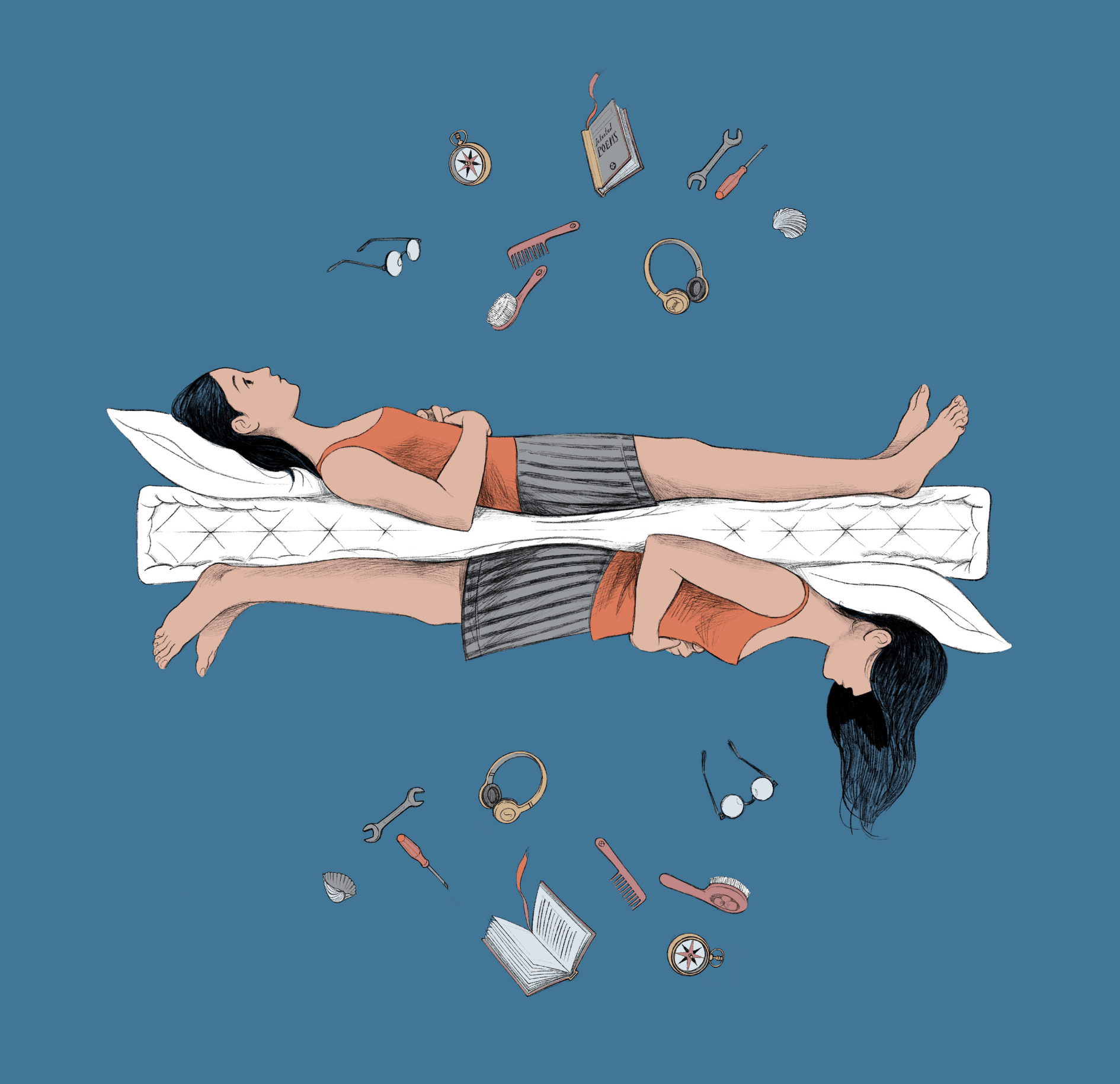 illustrazione9_carousel