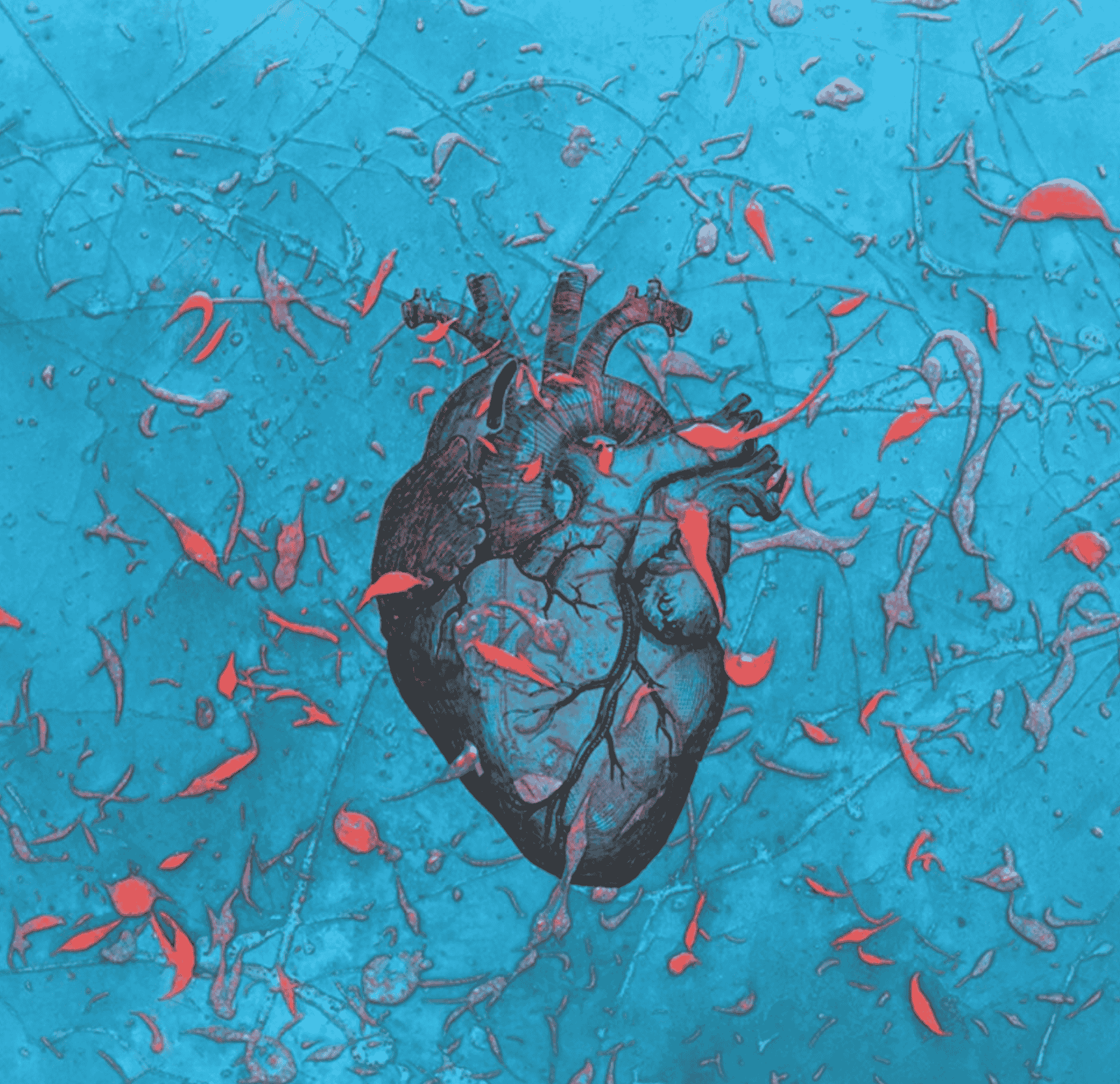 Illustrazione3_carousel