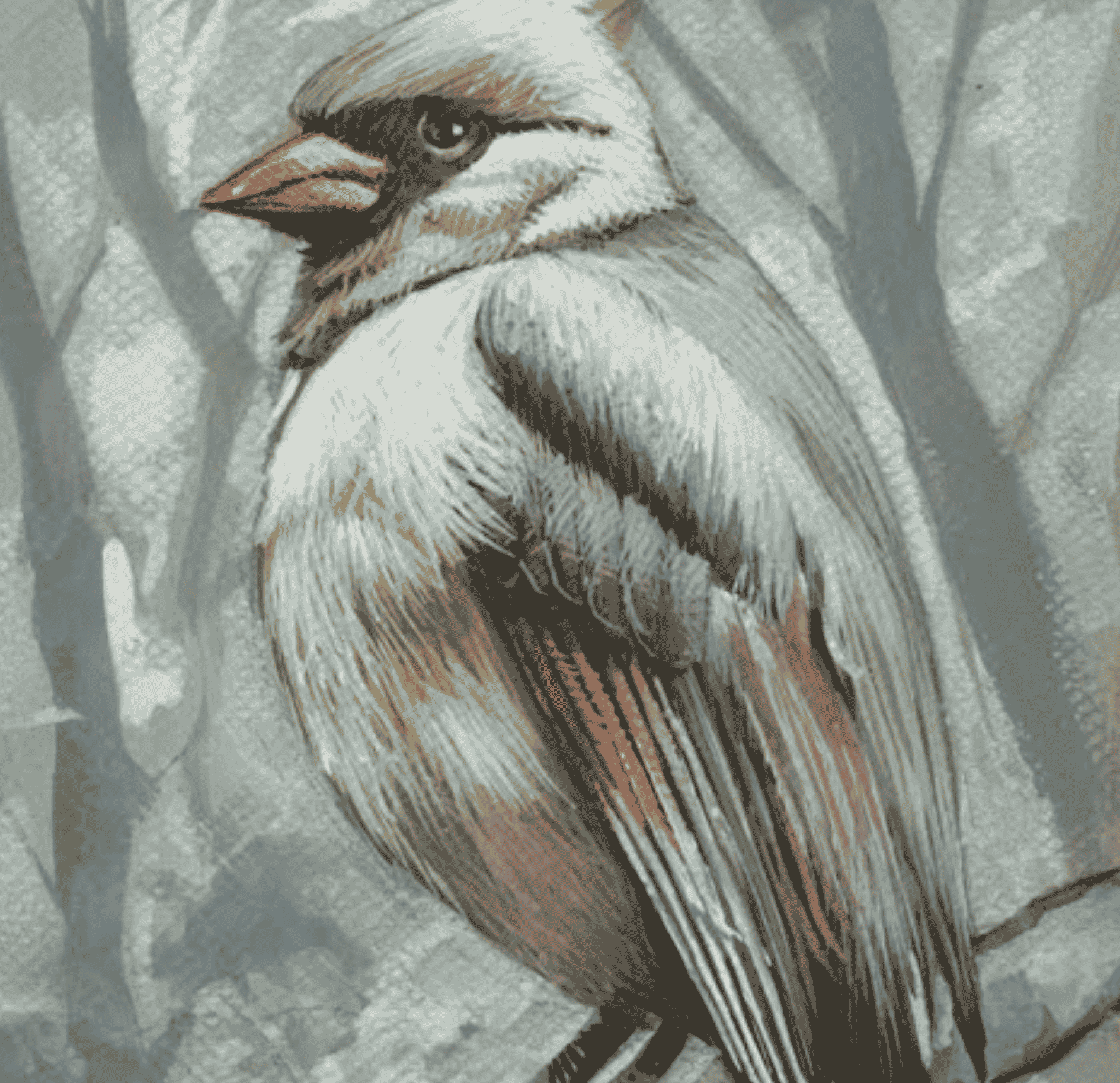 Illustrazione1_carousel (11)