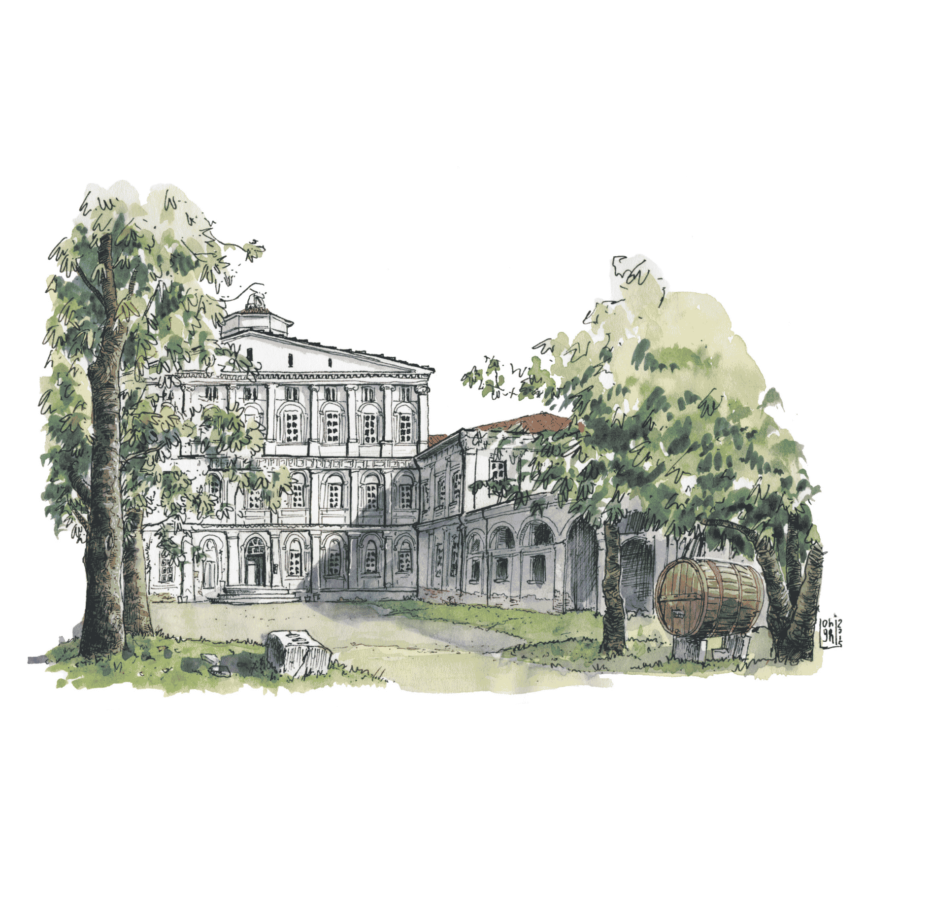Illustrazione1_carousel (33)