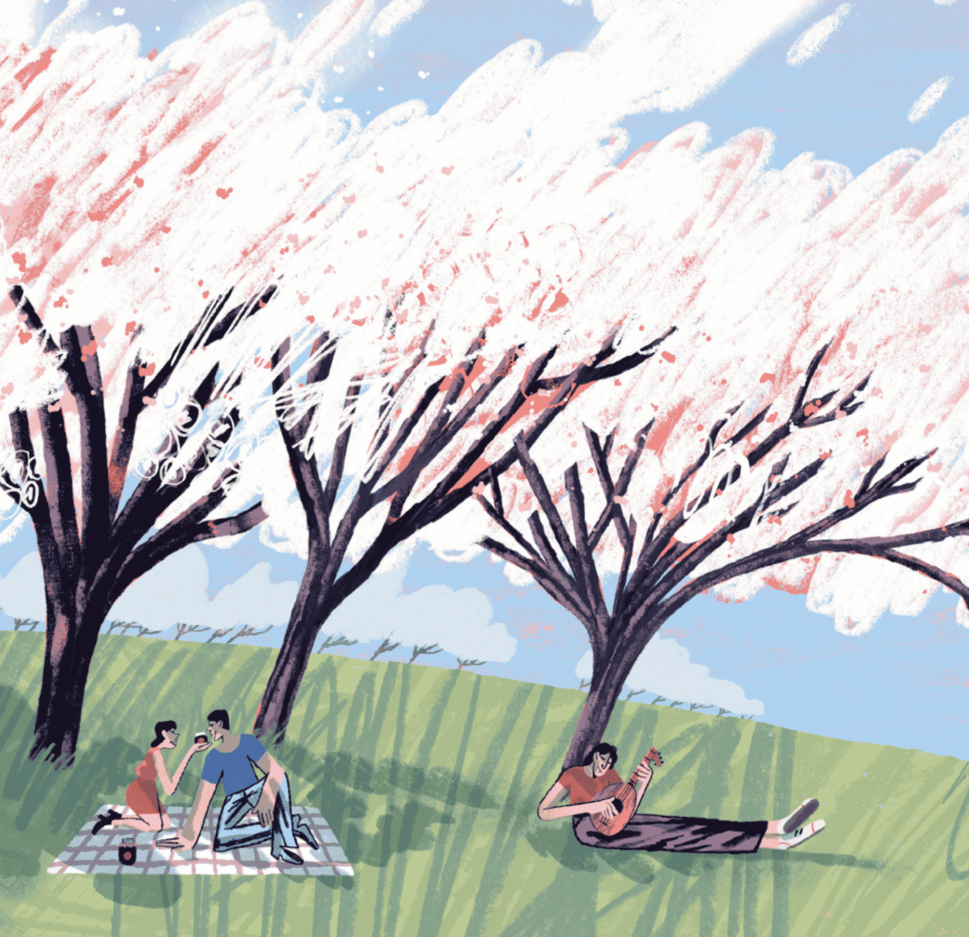 Illustrazione1_carousel (9)